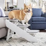 PetSafe CozyUp Steps & Ramp Combo for pets next to a couch.