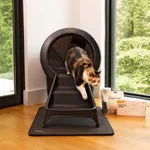 Self-cleaning Litter-Robot 4 cat litter box with accessories.