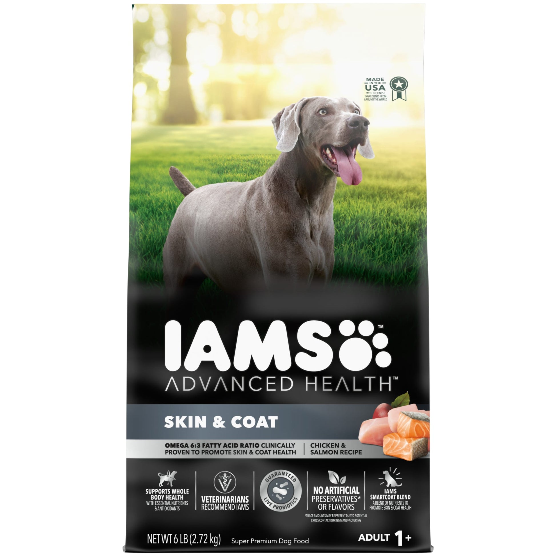 Iams Advanced Health Chicken and Salmon Dry Dog Food 6 lb bag for healthy skin and coat.